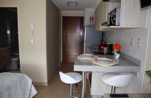 Osorno Apartment | Centro Osorno Express