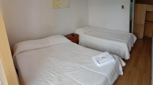 Cavancha House | Palm Hostal