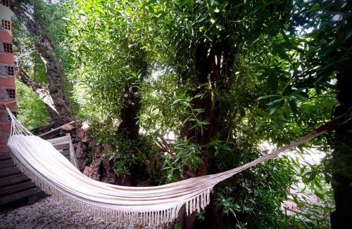 Sierra de los Padres House | Mi Isla