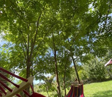 Melipeuco House | Comodidad y Hermosa Vista Volcán