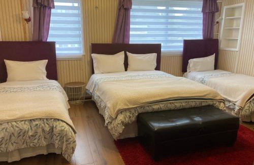 Osorno House | Hostal Argentina Osorno