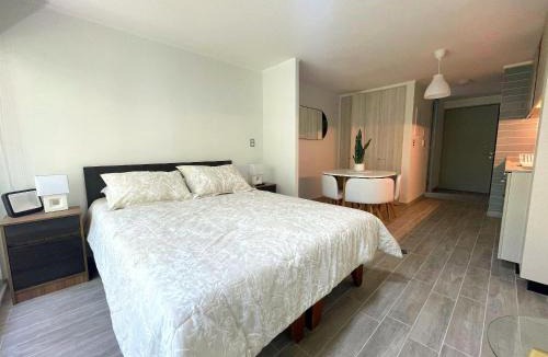 Downtown Santiago Apartment | New studio steps from Club Hípico with A/C