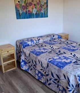 Rama Caida House | Cabaña El Poniente