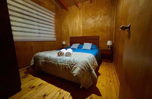 Curacautin Apartment | Cabañas EcoSur - Chile