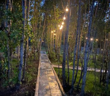 Pucon House | Boker Tov Pucón