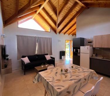 La Villa Apartment | Blue House 6 Villa La Angostura