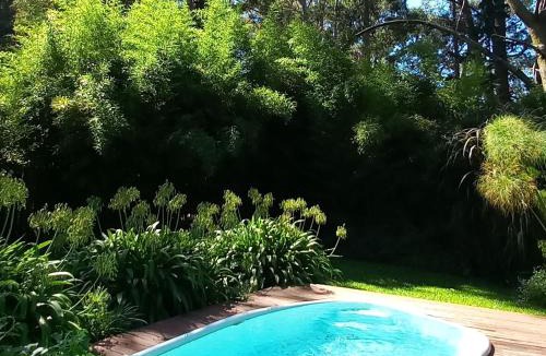 Bosque Peralta Ramos House | Casa Bendita Pacha