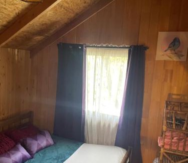 Pinto Ski Chalet | Cabaña las Trancas