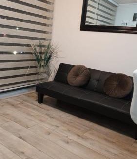 Vina del Mar Apartment | Grato y Bello departamento