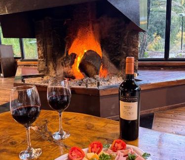 Rincon del Atuel Hotel | Hotel Valle Grande