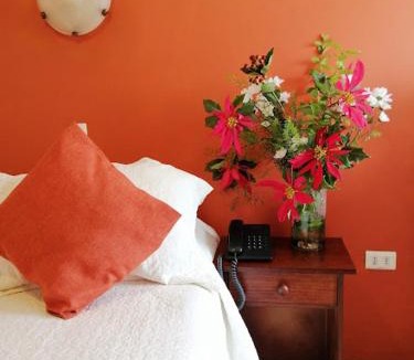 Quillota Hotel | Hotel Palmeras