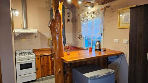 San Carlos de Bariloche Apartment | Vistas de Bariloche