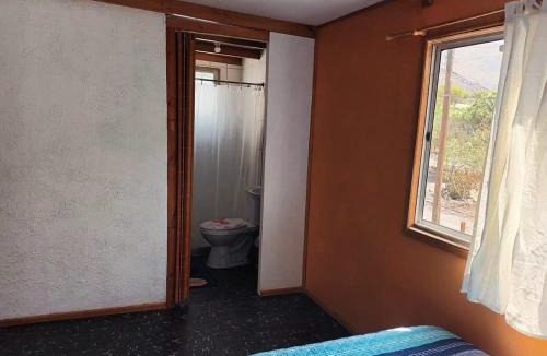 Vicuna House | Hostal Al Yaras
