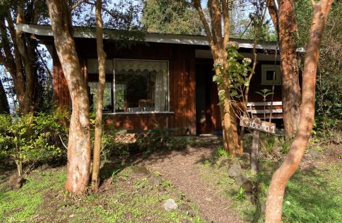 Frutillar Cabin | Cabañas el Bosque Patagónico