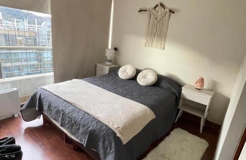 Santiago Apartment | Metro Manuel Montt Providencia