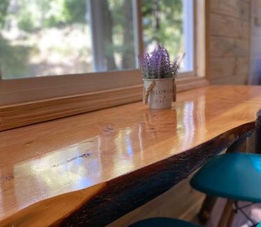 Pinto Ski Chalet | Cabañita Del Árbol Concón