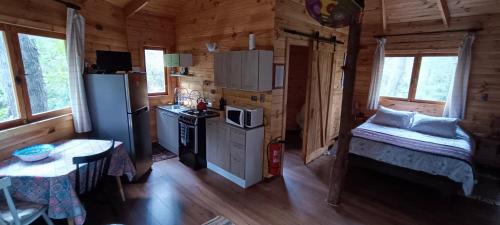 Pinto Ski Chalet | Cabañita del Árbol Cóndor