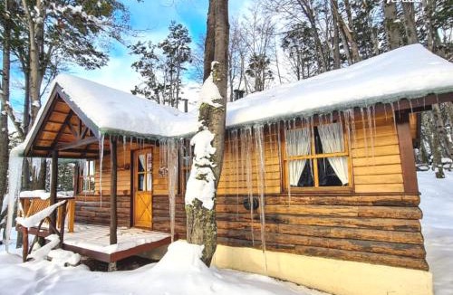 Province of Tierra del Fuego Cabin | Aldea Nevada