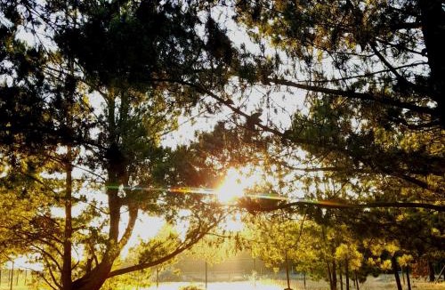 Algarrobo Apartment | Riveras Rentals Bosque , cabañas & cabinas