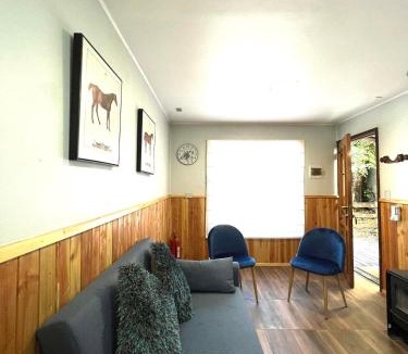 Lican Ray Ski Chalet | Cabaña El Nativo 2 - Licán Ray