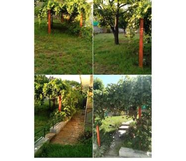 La Falda House | El mocasin