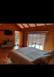 Valdivia House | Casa familiar. Bosque de valdivia