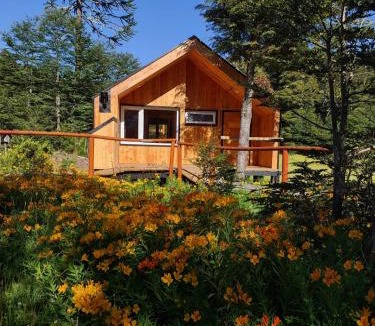 Melipeuco Ski Chalet | Sollipulli Cabaña Chucao, Lodge Nevados de Sollipulli