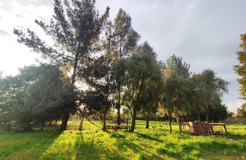 Cabrero House | Quinta Los Cipreses