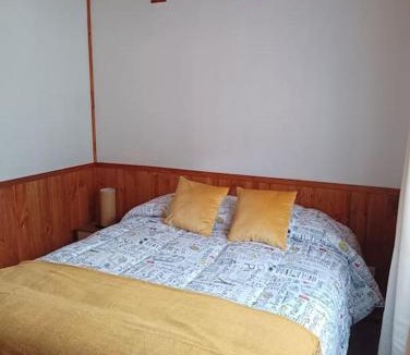 Panguipulli House | Cabaña Kallfü Mahuida