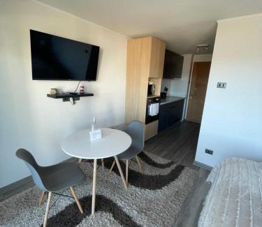 Concepcion Apartment | Maravilloso Depto. Estudio 1D1B