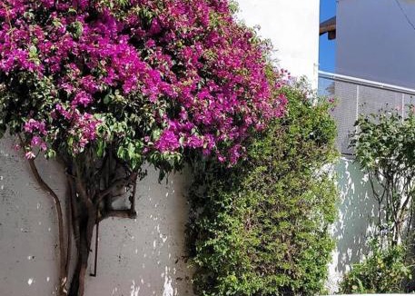 Santa Rosa House | Casablanca - en el mejor lugar de Santa Rosa