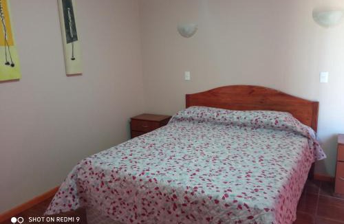 Vicuna Apartment | Cabañas Portezuelo