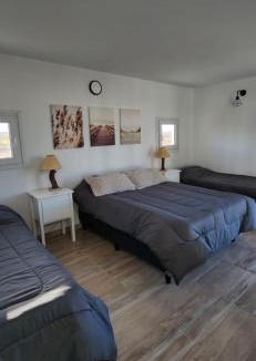 Picun Leufu Department House | Refugio Chocón Medio - Neuquén