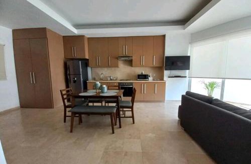 Rincon del Atuel Apartment | Hermoso departamento en Valle Grande. San Rafael Mendoza