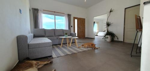 Canuelas House | Quinta Bali
