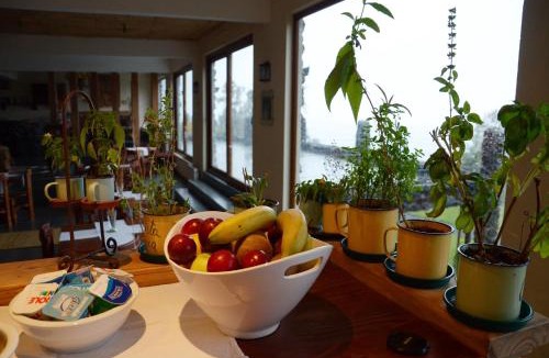 Pucon Hotel | Hotel CasaEstablo by DOT Boutique
