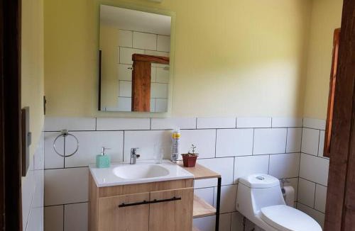 Collentane House | Cabaña los arándanos de Huife