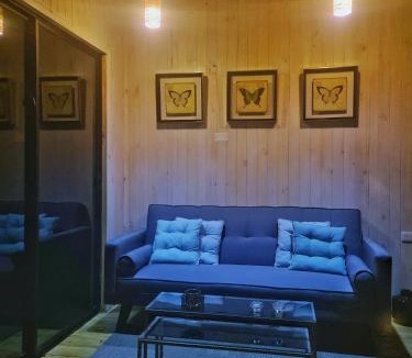 Llifen Ski Chalet | Loft Puro Ranco