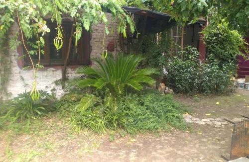 Luyaba House | Casa Alma Verde armonia