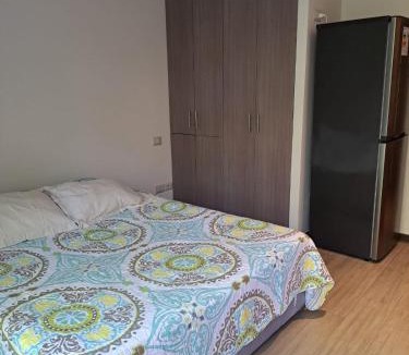 Pucon Apartment | Apartamento Estudio Pucón Andino