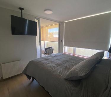 Concepcion Apartment | Parque urbano