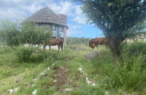 San Francisco del Monte de Oro Ski Chalet | Descanso, aventura y ecoturismo en las sierras