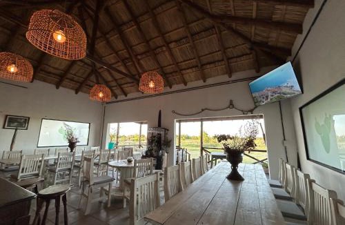 San Pedro House | El Nopal - Alojamiento