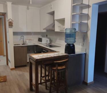 Valdivia Apartment | Departamento Isla Teja