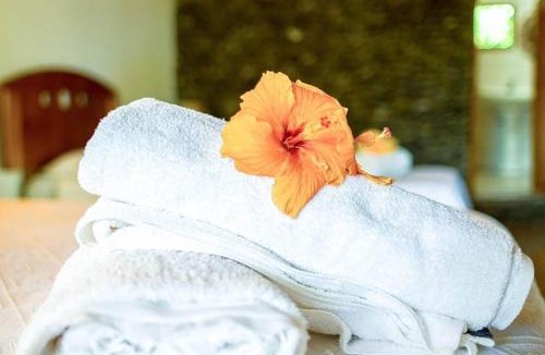 Hanga Roa Hotel | CHEZ MARIA GORETTI HOTEL