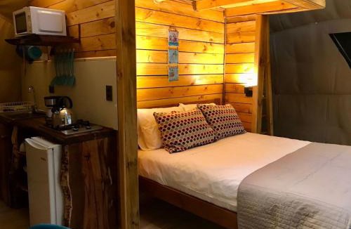 Pinto Cabin | Bosque Vivo