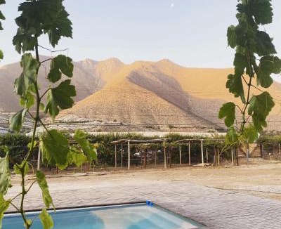 Vicuna Other | Glamping Viñas de Elqui
