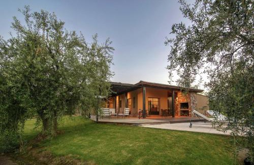 Maipu Hotel | Finca Verde Oliva Wine & Olive Estate