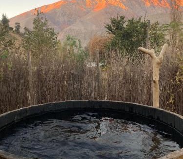 Pisco Elqui Hotel | UMA Hotel