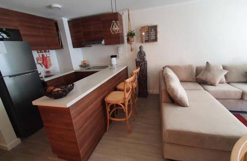 Puerto Varas Apartment | Departamento Plaza Schwerter